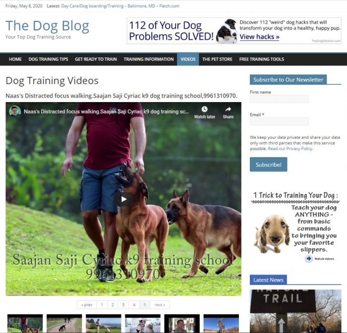 Dog training tips turnkey website