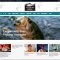 Angling, fishing turnkey website