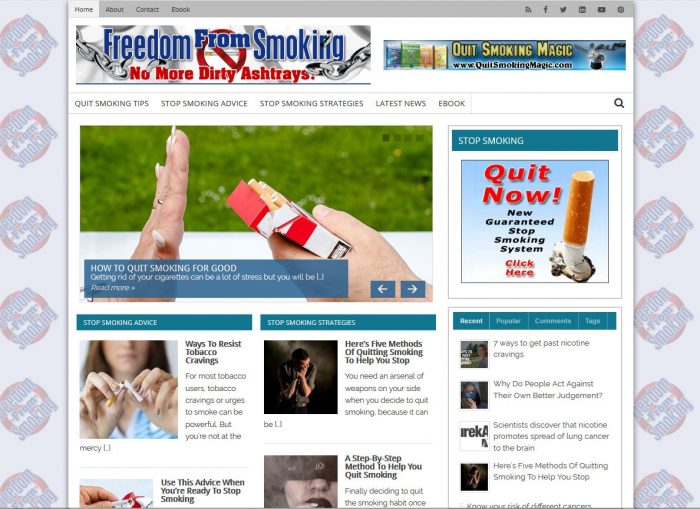 stop smoking turnkey website